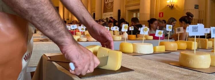 Prorrogadas as inscrições para o Concurso Internacional da ExpoQueijo Brasil 2024
