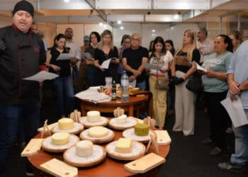 Fórum Internacional da ExpoQueijo Brasil abre inscrições
