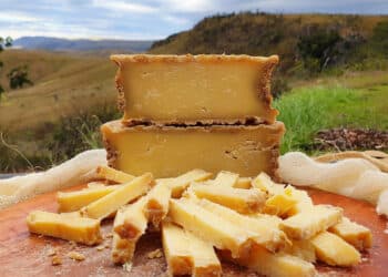 ExpoQueijo Brasil: experiência inédita vai analisar a influência do terroir nos queijos com denominação
