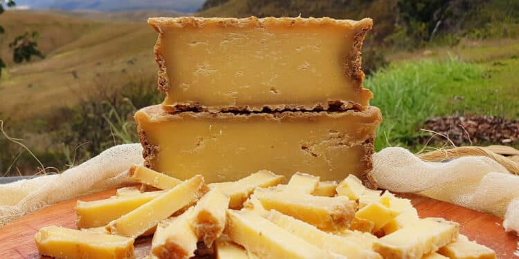 ExpoQueijo Brasil: experiência inédita vai analisar a influência do terroir nos queijos com denominação