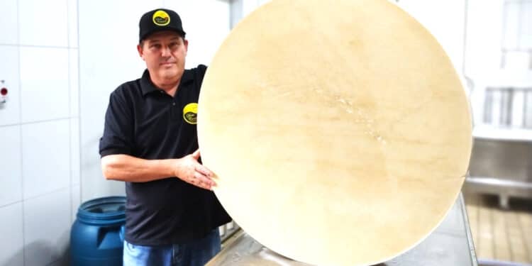 Queijos gigantes serão destaque na ExpoQueijo Brasil 2024