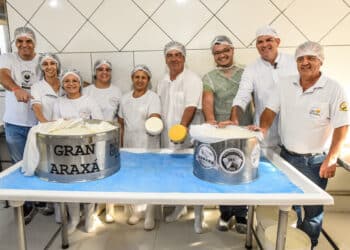 Maior Queijo Minas Artesanal da Região de Araxá está pronto e deve ser atração da ExpoQueijo Brasil em 2025