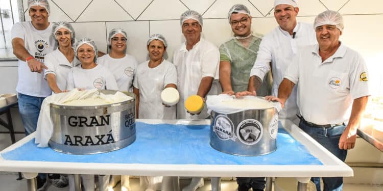Maior Queijo Minas Artesanal da Região de Araxá está pronto e deve ser atração da ExpoQueijo Brasil em 2025