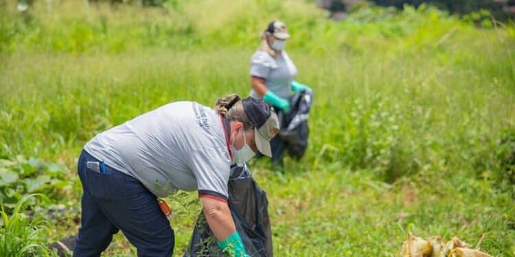 Prefeitura de Araxá alerta população sobre cuidados contra a Dengue com início do período chuvoso