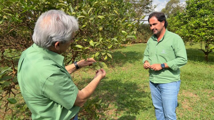 Araxá dá primeiros passos para o crescimento na produção de citricultura