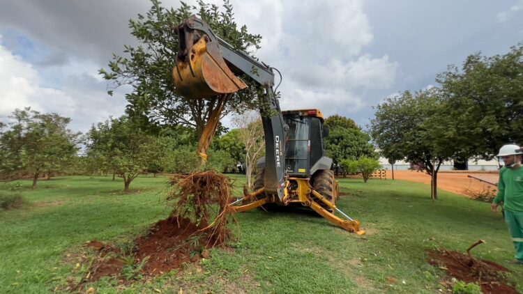 Araxá dá primeiros passos para o crescimento na produção de citricultura