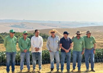 Araxá dá primeiros passos para o crescimento na produção de citricultura