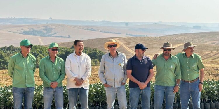 Araxá dá primeiros passos para o crescimento na produção de citricultura