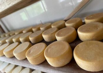 Festival Sabores do Cerrado celebra o empreendedorismo rural e a riqueza dos produtos artesanais do Cerrado mineiro