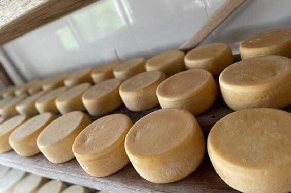 Festival Sabores do Cerrado celebra o empreendedorismo rural e a riqueza dos produtos artesanais do Cerrado mineiro