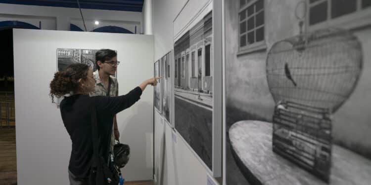 Exposição Ficções Reais segue aberta para visitação gratuita no Museu Dona Beja até 8 de dezembro