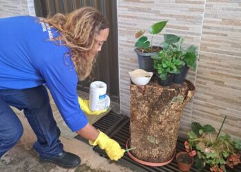 Prefeitura de Araxá intensifica ações de combate à dengue durante o período chuvoso