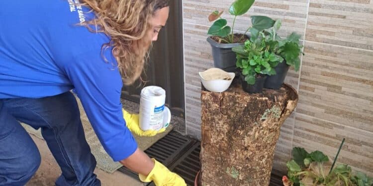 Prefeitura de Araxá intensifica ações de combate à dengue durante o período chuvoso
