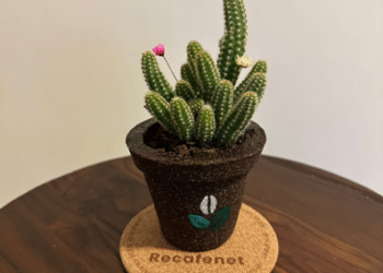 Jovem do ensino médio desenvolve tecnologia que transforma a borra de café em produtos biodegradáveis