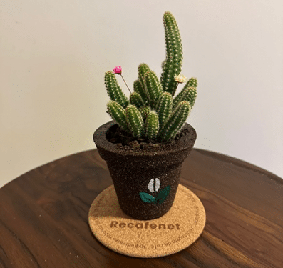 Jovem do ensino médio desenvolve tecnologia que transforma a borra de café em produtos biodegradáveis