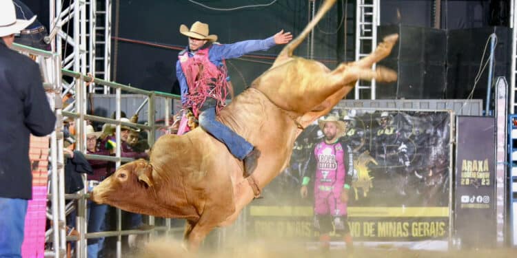 ARS 2025 terá maior arena da história e nomes consagrados do universo do rodeio brasileiro