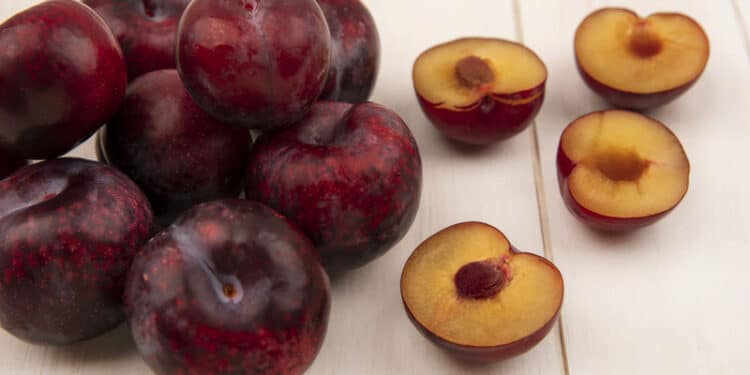 Tudo sobre ameixa: nutricionista do CEUB lista benefícios de inserir a fruta na dieta