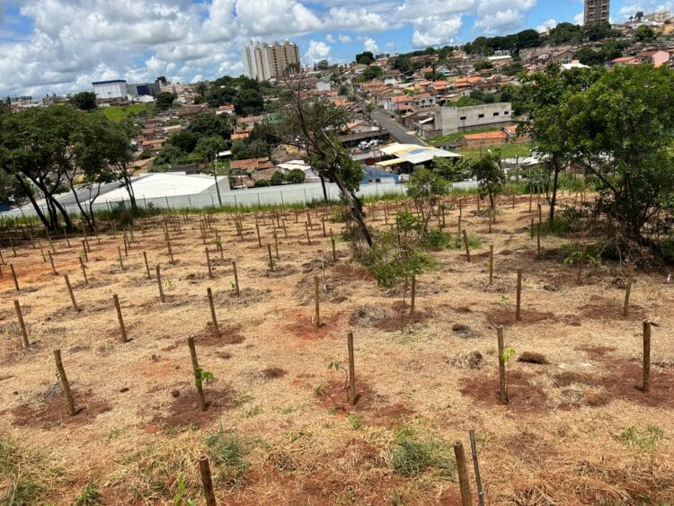 Parceria público-privada propõe recuperação de áreas verdes em Araxá