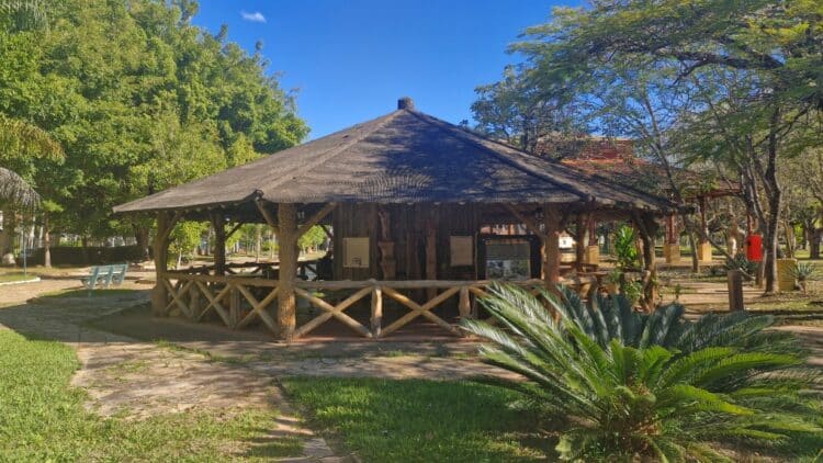 Glória Fontoura de Siqueira lança seu livro dia 28 próximo na Cafeteria Monalisa