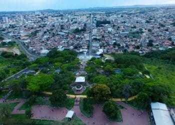 CRÔNICAS SEMANAIS ESTREIAM NO EXEMPPLAR