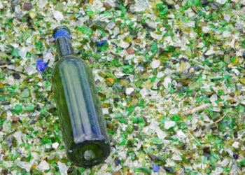 O vidro como aliado da sustentabilidade: reciclagem eterna e inovação para um futuro mais verde