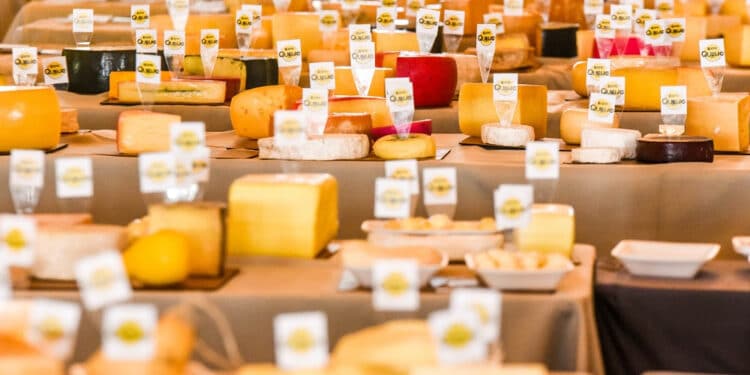 ExpoQueijo Brasil começa com recorde internacional e reforça posição como vitrine mundial do queijo artesanal