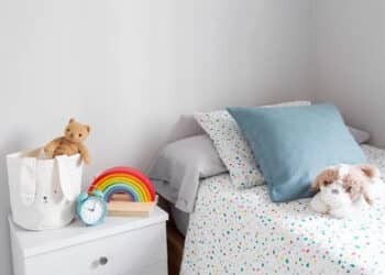 Como higienizar corretamente os itens de casa e prevenir rinite, bronquite e outras doenças respiratórias