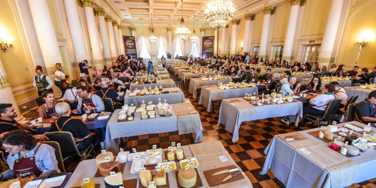 Concurso da ExpoQueijo Brasil começa com expectativa entre produtores e atenção internacional