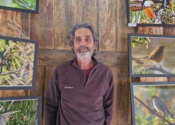 Exposição Aves do Parque do fotógrafo  Alberto Andrada pode ser vista até o dia 28 de julho