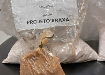 Amostra da St George tem concentração superior a 95% de terras raras