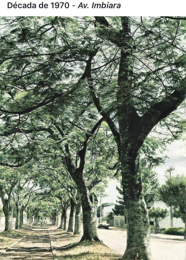 Cartórios bloqueiam R$ 20 milhões em fraudes na transferência de veículos em MG