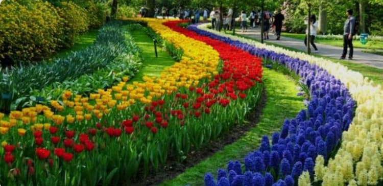 A chegada da prima Vera