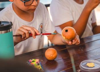 Fliaraxá oferece oficinas gratuitas