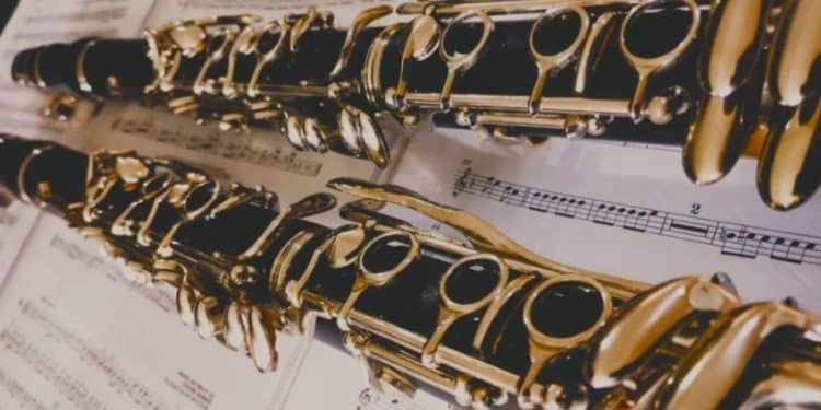 Poços de Caldas sedia o 1º Encontro de Flautistas