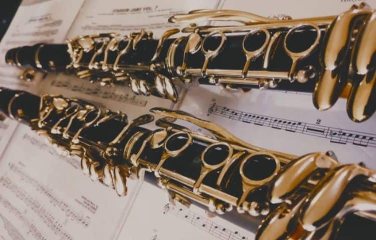 Poços de Caldas sedia o 1º Encontro de Flautistas