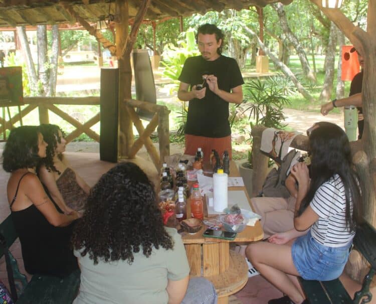 RECURSOS DA NATUREZA TRANSFORMADOS EM PINTURAS.