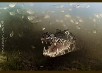 Museu Dona Beja recebe a exposição Eztetyka da Terra, do Festival de Fotografia de Tiradentes