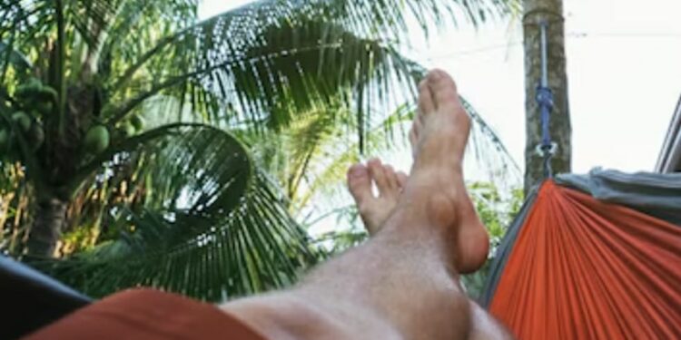 NADA,…COMO UM DIA DE DOMINGO