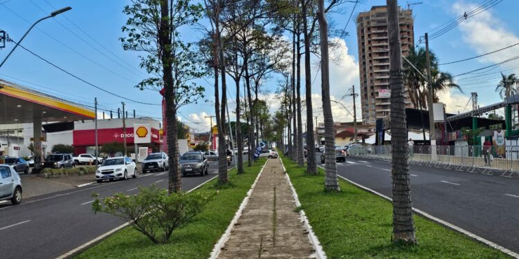Avenida Imbiara fica interditada durante realização do FestNatal; confira as datas