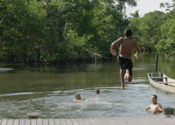 Maior manguezal urbano do Brasil vira protagonista em documentário sobre preservação e Economia Azul no ES
