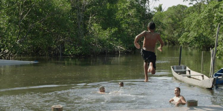 Maior manguezal urbano do Brasil vira protagonista em documentário sobre preservação e Economia Azul no ES