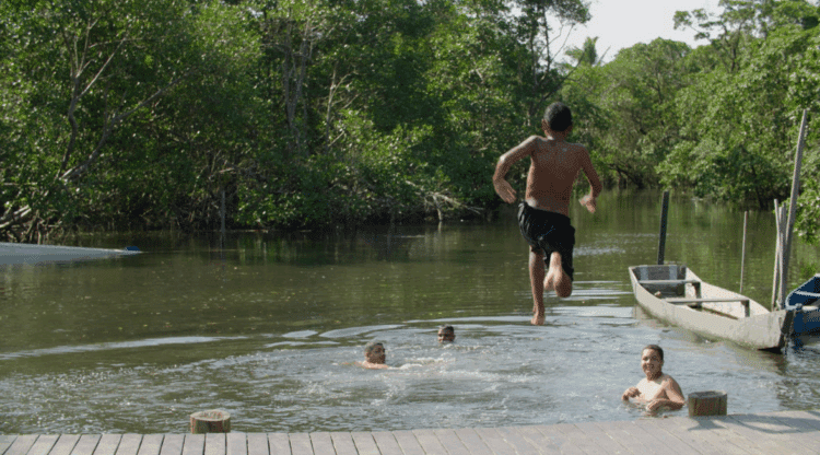 Maior manguezal urbano do Brasil vira protagonista em documentário sobre preservação e Economia Azul no ES
