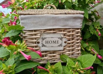 QUANDO NÃO HÁ OUTRA OPÇÃO