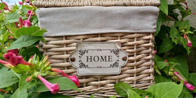 QUANDO NÃO HÁ OUTRA OPÇÃO