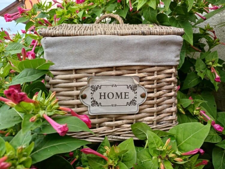 QUANDO NÃO HÁ OUTRA OPÇÃO