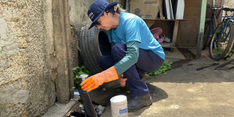 Araxá registra queda de 66,9% nos casos de dengue em 2025, mas reforça alerta no período chuvoso