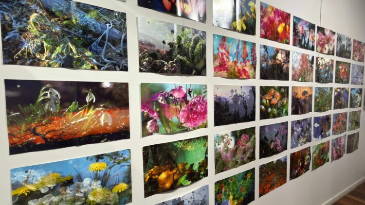 Última semana para visitar a exposição “Foto em Pauta – Eztetyka da Terra” no Museu Dona Beja