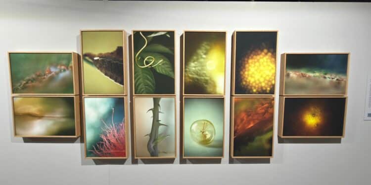 Última semana para visitar a exposição “Foto em Pauta – Eztetyka da Terra” no Museu Dona Beja