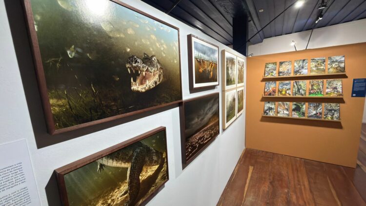 Última semana para visitar a exposição “Foto em Pauta – Eztetyka da Terra” no Museu Dona Beja