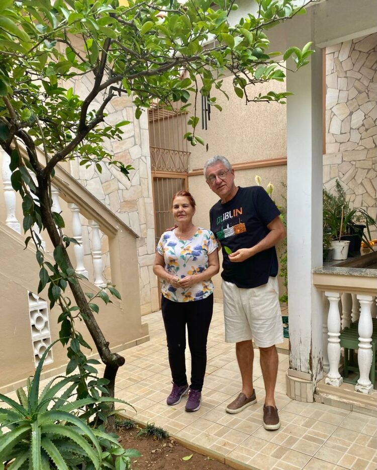 A REVELAÇÃO EM FOLHAS VERDES E ÁGUA QUENTE